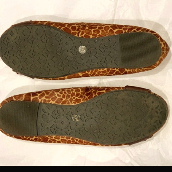 FOSSIL  FLATS! - Picture 3 of 6